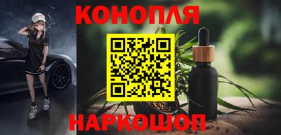 прущие грибы Абакан