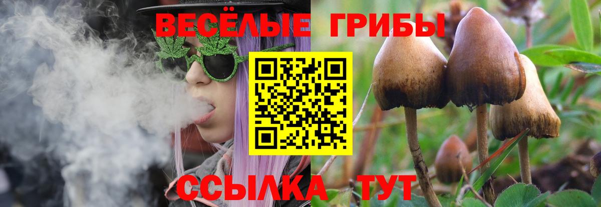 Галлюциногенные грибы ЛСД Азнакаево